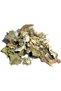 Cea de anghinare 50g - 5