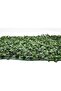 FFD Artificial Green Grass Wall Backdrop - Nature Haven Synthetic Panel, Evergreen Delight Pack of 5 - 3
