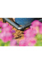 Poly Irrigation Elbow 13mm - (10 Pcs Pack) - 2