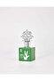 Watan Perfume - 100 Ml - 3