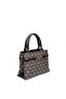 Women's Hand and Crossbody Bag 1149 - 2