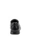 Forelli-32606-H - 3