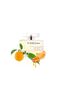 Dauro for Her Eau De Parfum 100ml - 2