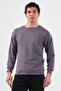 Men's Regular Fit Crew Neck Anthracite Sweatshirt