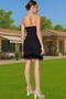 Women's Mini Bodycon Evening Dress Dress Finike Woven Feather Detail Summer Casual Daily Use Special Occasions - 4