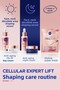Contouring Pure Bakuchiol Serum for Face, Neck and Décolleté Area 30 ml - 7