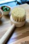 Natural Tampico Herb Handled Vegan Dish Brush (1 PC) - 2