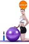 Purple Pilates Ball 65 Cm Deluxe Yoga Plates Exercise Ball Ball Inflation Pump Set - 7