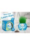 Grass Man 12 Pieces New Generation Boxed Blue Pink Baby Themed Baby Shower Newborn 1 Year Old Birthday P - 3