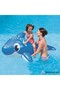 Cute Dolphin Rider (with Hold) 157 X 94 cm - 2