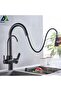 Kitchen Sink Faucet Dual Flow Water Purification Outlet with Sprinkler New Black
