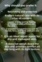 Olive Oil Moisturizing Cream 250 ml – Hand, Face & Body Lotion Nourishing for Sensitive Skin - 3
