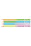Assorted Pencil Set of 12,Red Pencil,Coral Pencil,Pastel and Animal Pattern Pencils - 5