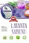 Lavender Extract Natural Sponge Beauty Soap with Skin Anti-Wrinkle Effect - 3