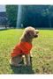Summer Orange Linen Dog Shirt, Light Weight Construction - 4