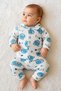 Blue Baby Teddy Bear 2-Piece Organic Baby Bodysuit Set Hospital Release - 2