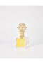 Musk Vanilla - 50 ML - 3