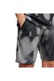 Unisex Children's Gray Shorts J Spr Aop 2 Sho Jm3782 - 6
