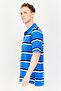 Men Regular Fit Short Sleeve Stripe Polo Shirts, Multicolor - 2