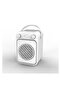 Portable Karaoke Bluetooth Speaker with Mic – Mini Wireless Loud Bass Speaker for High-Quality Sound