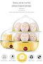 Stainless Steel Electric Egg Cooker, Egg Steamer, Double Layer Boiled Egg Cooker, Can Cook - 7