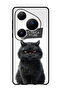 Case Compatible with Huawei Pura 80 Pro Protection Shockproof Cover Dont Touch My Phone Cat