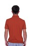Regular Fit Non-Curling Polo Neck T-Shirt - 3