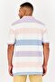 Men Regular Fit Short Sleeve Stripe Polo Shirt, Multicolor - 3