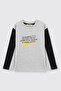 Baby Boy Long Sleeve Color Block Gray-Melange T-Shirt