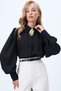 Black Princess Sleeve Hidden Placket Moss Crepe Shirt with Brooch Accessory Alc-X14338 - 2