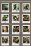 Artificial Intelligence Green Giant Paintings from the Ottoman Period 12 Decorative Polo Cards - Cork Board