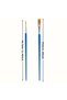 Set of 20 Synthetic Bristle Painting Brushes - 10 Pointed Tip + 10 Flat Tip Professional Artist Brushes - 3