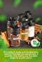 Set of 6 Double Lid Glass Spice Dispensers 110 ml - 3