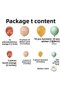 Balloon Set Burnt Orange-Desert Sand-Turmeric-Winter Green Set of 60 Balloon Chain - 2