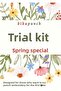 Trial Set (Spring Special) - Experience Kit for Those Who Are Curious about Punch Embroidery and Want to Try It