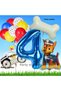 Chase Police Dog Concept 4 Years Birthday Party Balloon Set Paw Patrol Bone Balloon Set