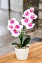 Decorative 2-Piece Mini Artificial Wet Orchid Arrangement Fuchsia-White 40 cm
