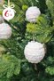 Macaron Colors Round Candy Ball Christmas Tree Ornament Macaron Candy Ball Luxury Candy Cane Pine Tree - 3