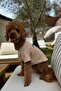 100% Organic Cotton Fabric Dog Clothing, Trouble Mink - 3