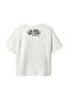 Nkfdiki Minecraft Ss Nreg Top Box Bio - 2