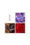 Silk Elixir Eau de Parfum pentru Femei, 15ml - 3