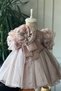 Special Design Girl's Dress with Floral and Pearl Details, Ruffled Sleeves, and Crown Accessory