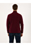 Burgundy Regular Fit Half Zipper Fleece Sweatshirt 50314056-Vr014 - 5