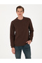 Brown 3 Thread Regular Fit Crew Neck Basic Sweatshirt 50315021-Vr029