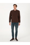 Brown 3 Thread Regular Fit Crew Neck Basic Sweatshirt 50315021-Vr029 - 4