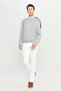 Men's Gray Melange Standard Fit Normal Cut Crew Neck Jacquard Knitwear Sweater - 2