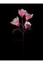 Solar lamp floral pattern - 2