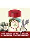 Aluminum Free Deodorant for Men Fiji With Palm Tree Scent Inspired By Nature 3 Oz, Pack Of - 5