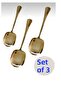3 Pieces Gold Stainless Steel Serving Spoon 21 cm Presentation Spoon - 2