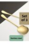 Gold Stainless Steel Serving Spoons 3 Pieces 21 Cm